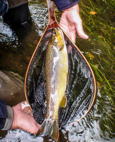 Pêche à la mouche sur l’Elorn | Brittany Fly Fishing