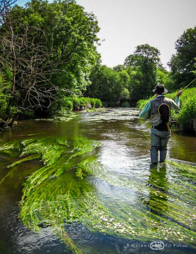 Pêche à la mouche sur l’Hyeres | Brittany Fly Fishing