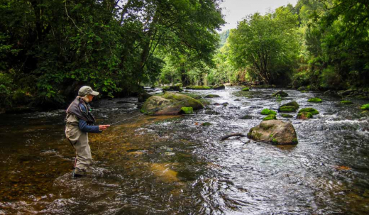 Pêche à la mouche sur le Léguer | Brittany Fly Fishing