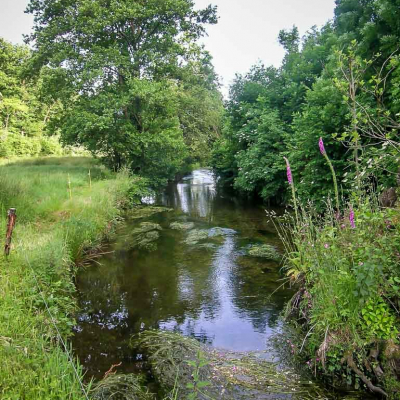 Pêche à la mouche sur la Penzé | Brittany Fly Fishing
