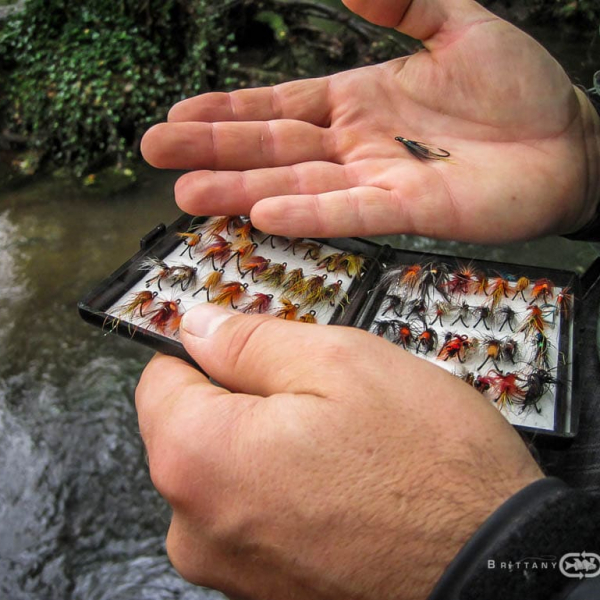 Perfectionnement pêche Saumon | Brittany Fly Fishing
