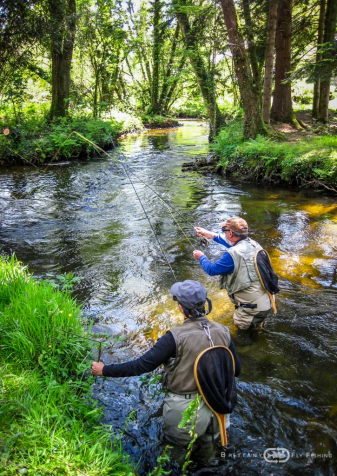 Perfectionnement Pêche à la Mouche | Brittany Fly Fishing