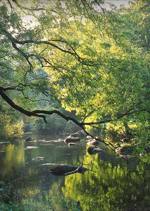 Photos-Ch-Le-Gac-BrittanyFlyFishing-4