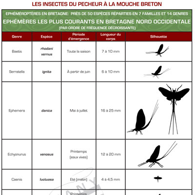 Tableau-Ephemeres