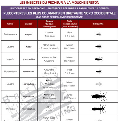 Tableau-Plecopteres