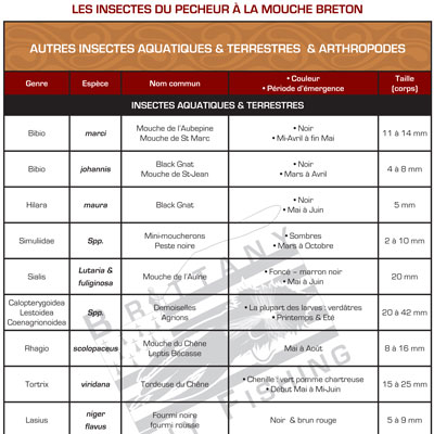 Tableau-terrestres